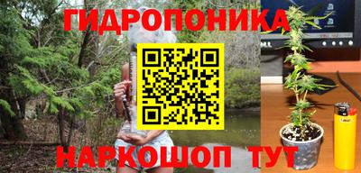 метадон Можга