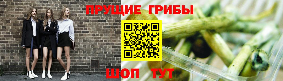 Псилоцибиновые грибы MAGIC MUSHROOMS  Вход с VPN  Галлюциногенные грибы прущие грибы  Канск 