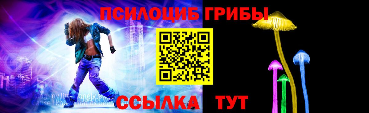 Галлюциногенные грибы Psilocybine cubensis Канск